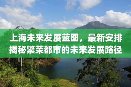 上海未来发展蓝图，最新安排揭秘繁荣都市的未来发展路径