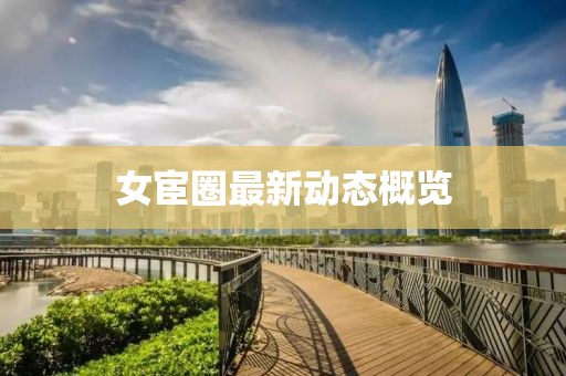女宦圈最新动态概览