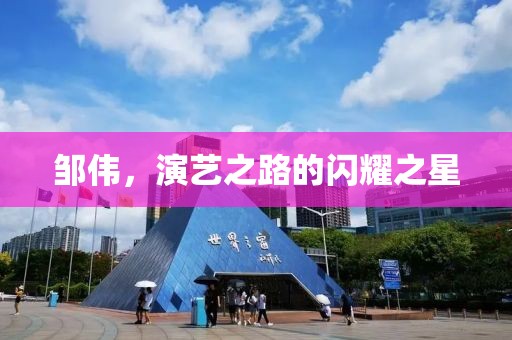 邹伟，演艺之路的闪耀之星