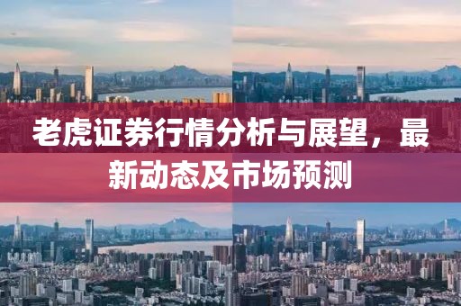 老虎证券行情分析与展望，最新动态及市场预测