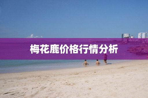 梅花鹿价格行情分析