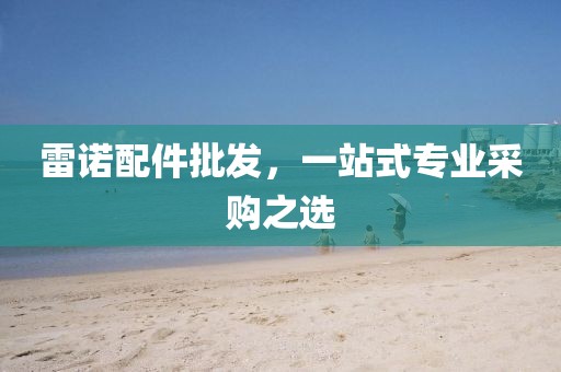 雷诺配件批发，一站式专业采购之选