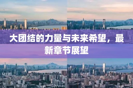 大团结的力量与未来希望，最新章节展望