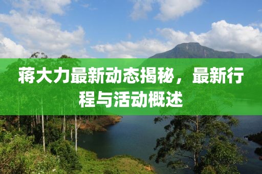 蒋大力最新动态揭秘，最新行程与活动概述