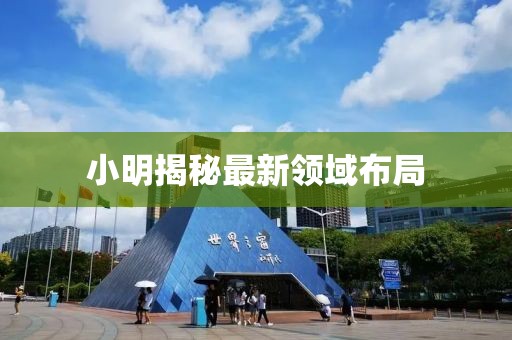 小明揭秘最新领域布局