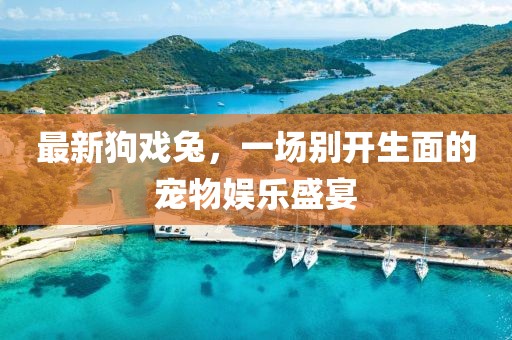 最新狗戏兔，一场别开生面的宠物娱乐盛宴