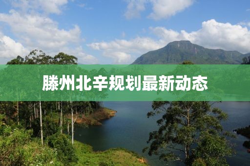 滕州北辛规划最新动态
