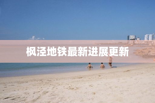 枫泾地铁最新进展更新