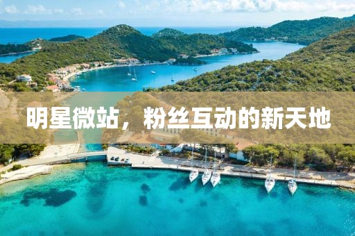 明星微站，粉丝互动的新天地