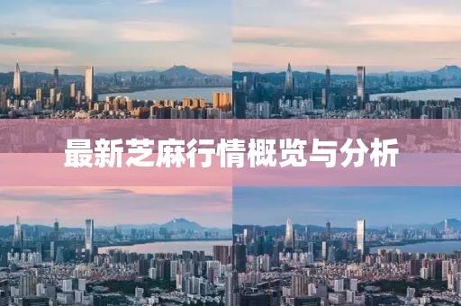 最新芝麻行情概览与分析