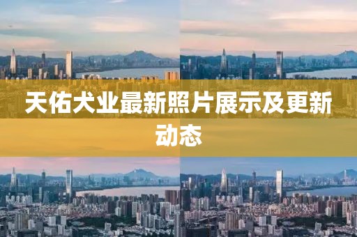 天佑犬业最新照片展示及更新动态