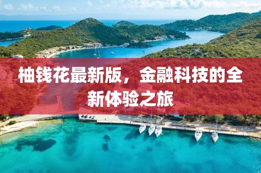 柚钱花最新版，金融科技的全新体验之旅