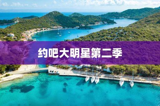 约吧大明星第二季