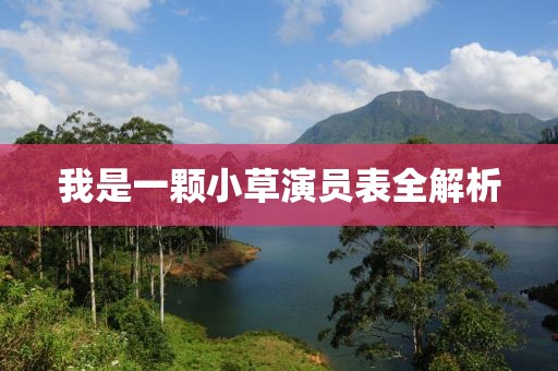 我是一颗小草演员表全解析