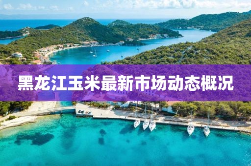 2025年2月 第2页