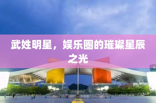 武姓明星，娱乐圈的璀璨星辰之光