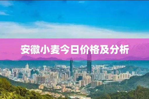 2025年2月