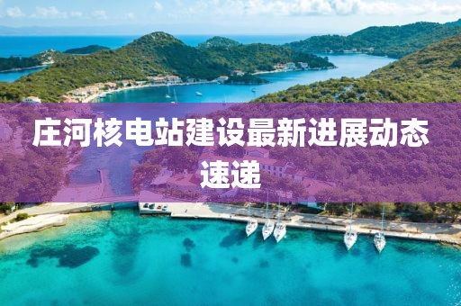 庄河核电站建设最新进展动态速递