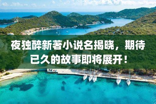 夜独醉新著小说名揭晓，期待已久的故事即将展开！
