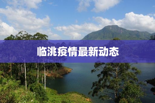 临洮疫情最新动态