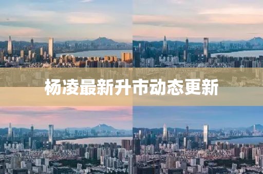 杨凌最新升市动态更新