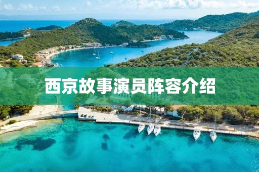 西京故事演员阵容介绍