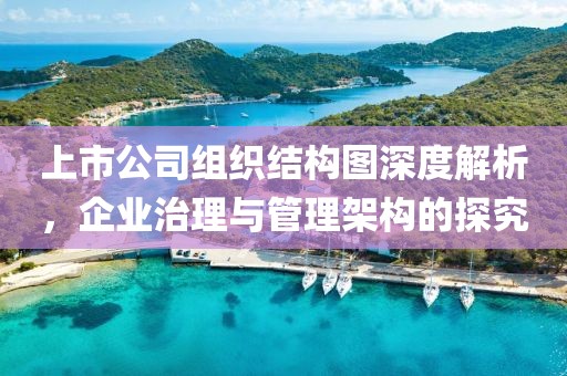 上市公司组织结构图深度解析，企业治理与管理架构的探究