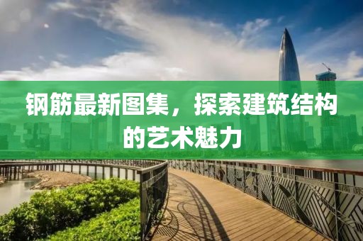 钢筋最新图集，探索建筑结构的艺术魅力