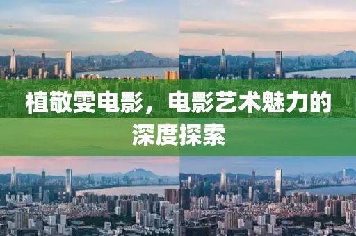 植敬雯电影，电影艺术魅力的深度探索