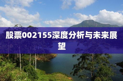 股票002155深度分析与未来展望