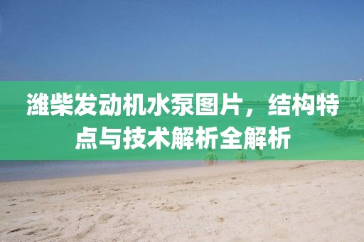 潍柴发动机水泵图片，结构特点与技术解析全解析