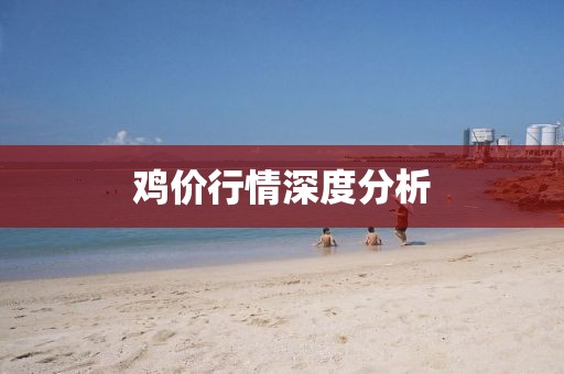 鸡价行情深度分析