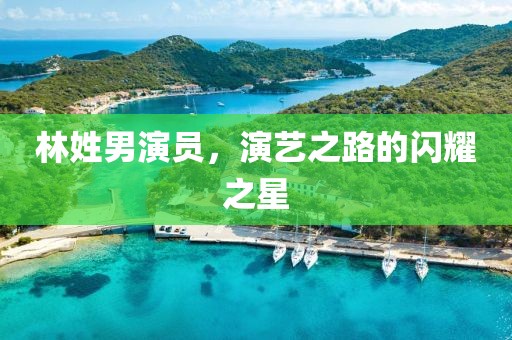 林姓男演员，演艺之路的闪耀之星