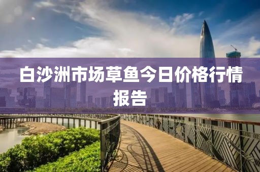 白沙洲市场草鱼今日价格行情报告