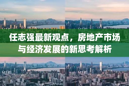 任志强最新观点，房地产市场与经济发展的新思考解析