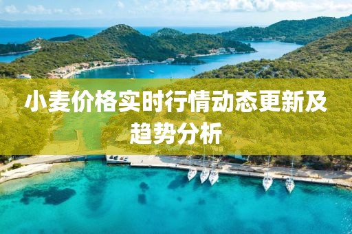 2025年3月 第313页
