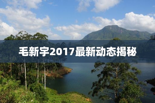毛新宇2017最新动态揭秘
