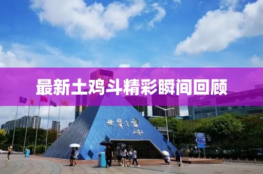 最新土鸡斗精彩瞬间回顾