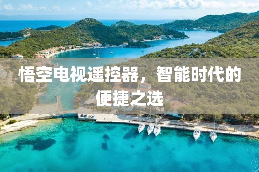 悟空电视遥控器，智能时代的便捷之选