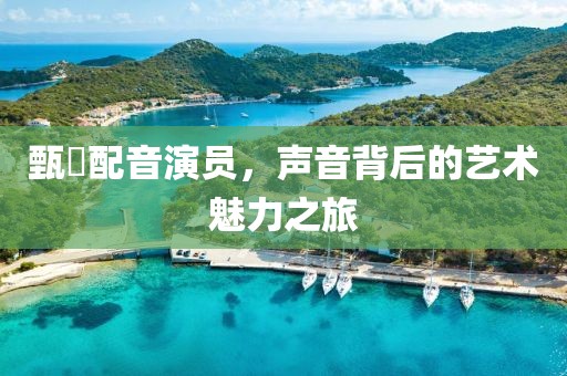 甄嬛配音演员，声音背后的艺术魅力之旅