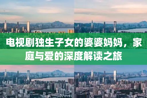 电视剧独生子女的婆婆妈妈，家庭与爱的深度解读之旅
