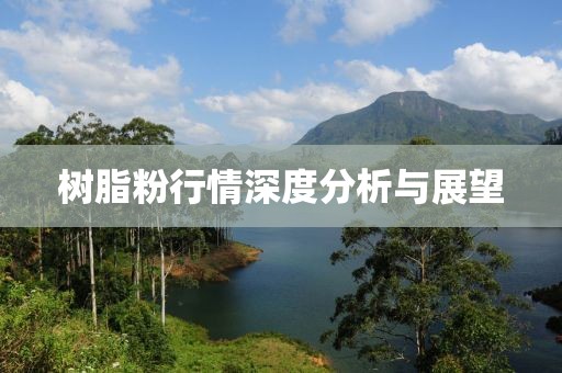 树脂粉行情深度分析与展望