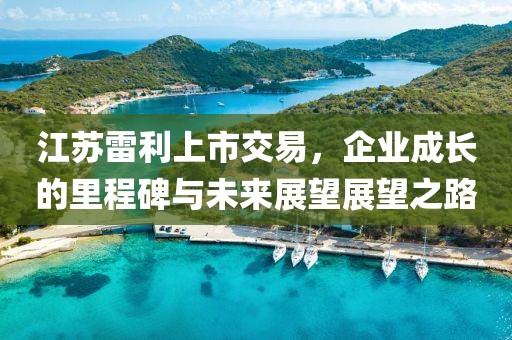 江苏雷利上市交易，企业成长的里程碑与未来展望展望之路