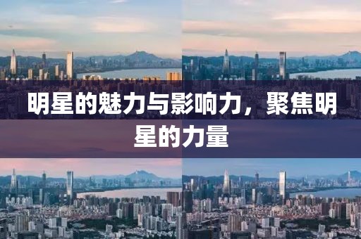 明星的魅力与影响力，聚焦明星的力量