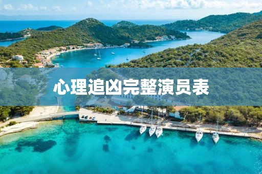 心理追凶完整演员表