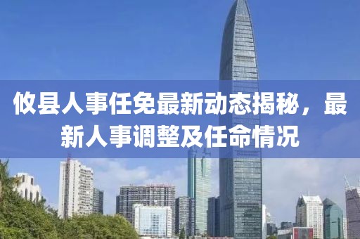 攸县人事任免最新动态揭秘，最新人事调整及任命情况