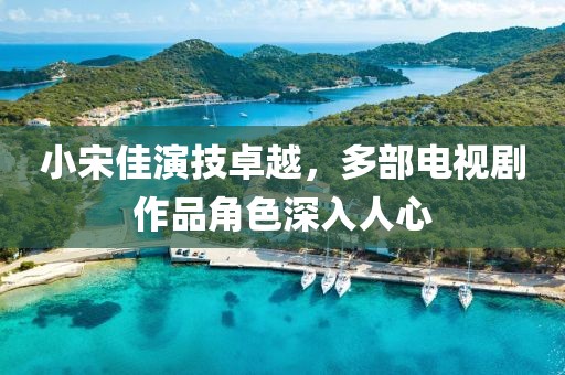 小宋佳演技卓越，多部电视剧作品角色深入人心