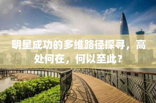 明星成功的多维路径探寻，高处何在，何以至此？