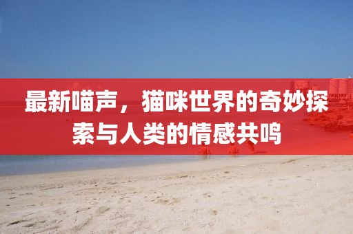 最新喵声，猫咪世界的奇妙探索与人类的情感共鸣