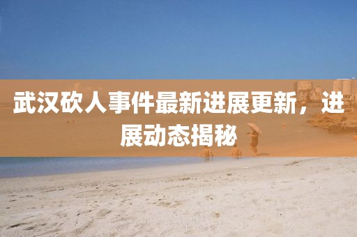 武汉砍人事件最新进展更新，进展动态揭秘